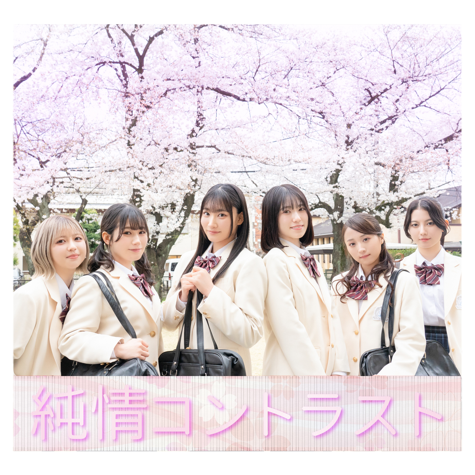 純情コントラスト